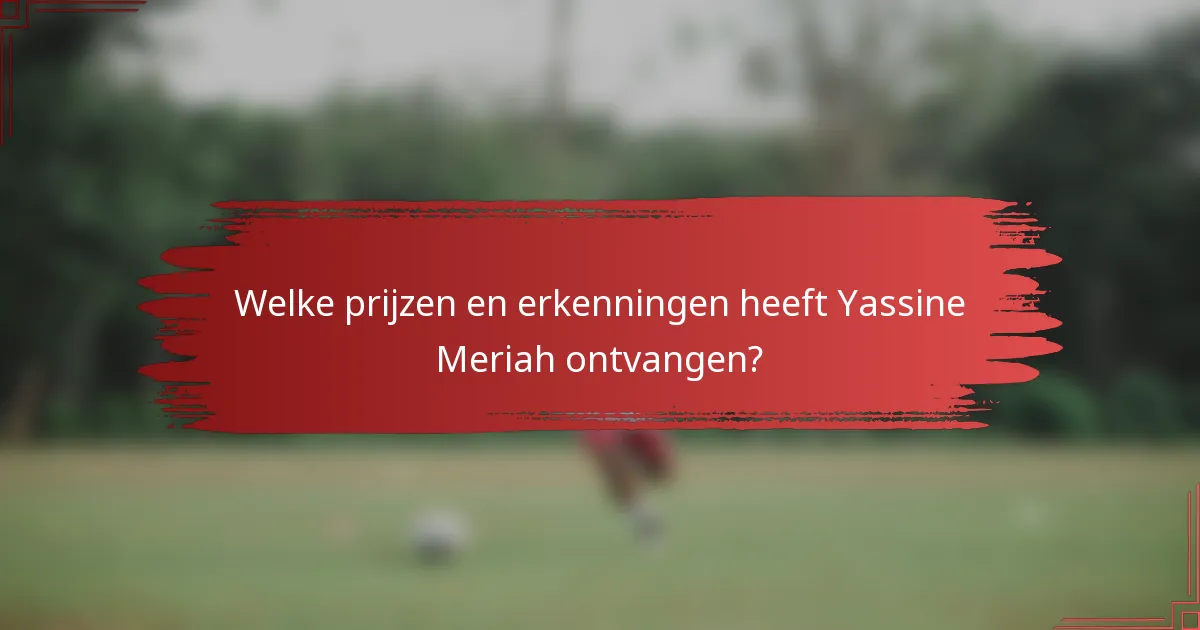 Welke prijzen en erkenningen heeft Yassine Meriah ontvangen?